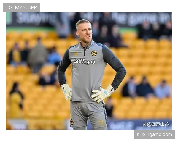 德甲狼队冬窗引援发力，新星加盟助球队强势提升联赛竞争力