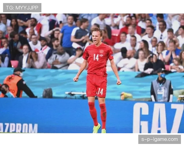 达姆斯高状态出色，助球队斩获关键胜利